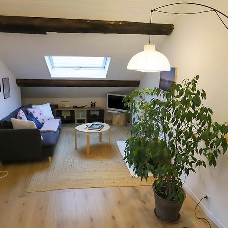Petit-Coeur Charmant En Centre Ville Lejlighed Annecy Eksteriør billede